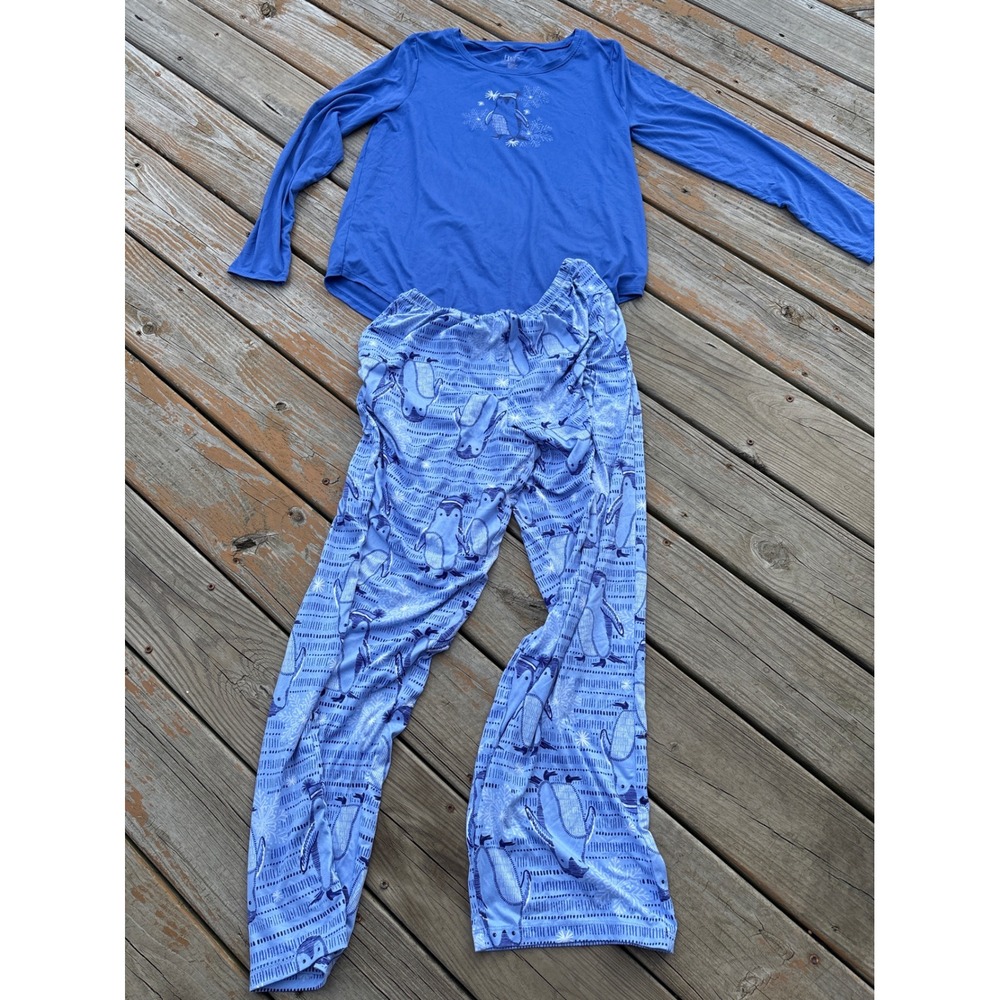 Hue Pajama Set Womens Medium Blue Penguin Snowflake Long Sleeve Top Pants 2pc